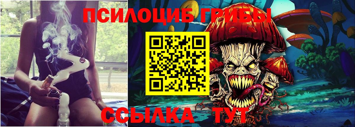 Черемхово  Галлюциногенные грибы прущие грибы  Галлюциногенные грибы Cubensis  Вход с VPN 
